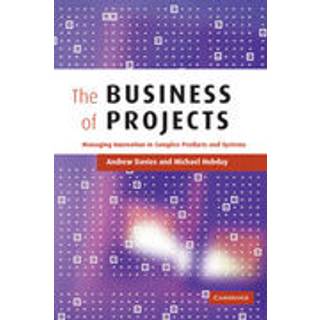 The Business of Projects