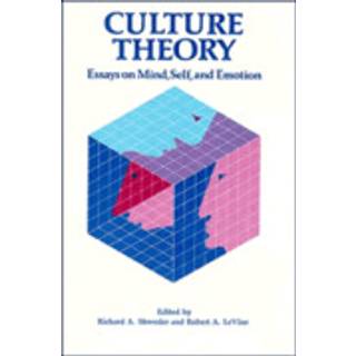 Culture Theory