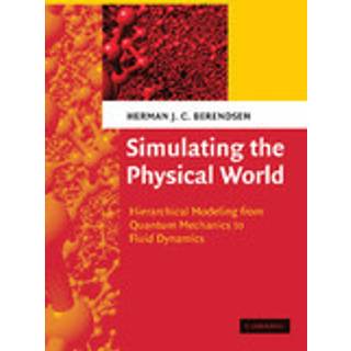 Simulating the Physical World