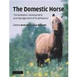 The Domestic Horse