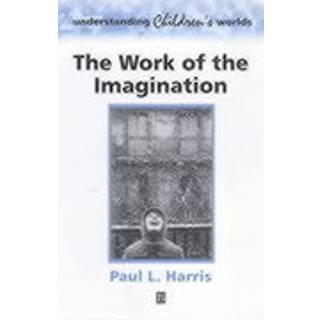 The Work of the Imagination