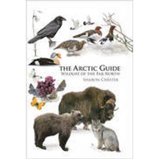 The Arctic Guide