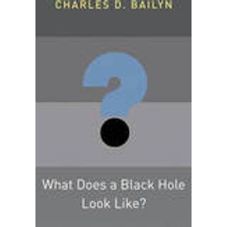 What Does a Black Hole Look Like?