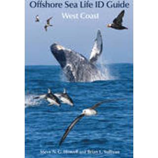 Offshore Sea Life ID Guide