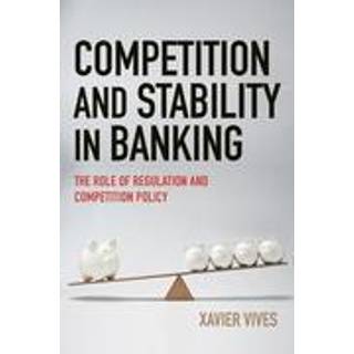 Competition and Stability in Banking