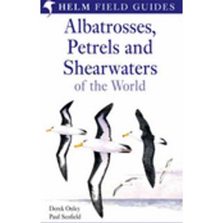 Field Guide to Albatrosses, Petrels and Shearwaters of the World