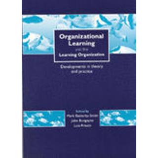 Organizational Learning and the Learning Organization