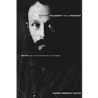 Between Philosophy and Literature