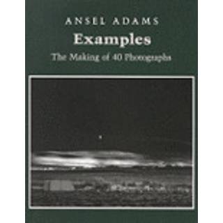 Examples: The Making Of 40 Photographs