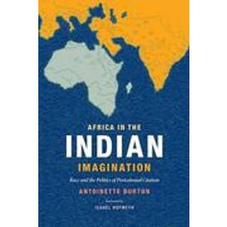 Africa in the Indian Imagination