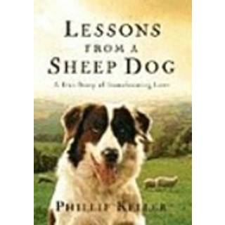 Lessons from a Sheep Dog