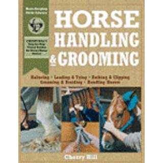 Horse Handling & Grooming