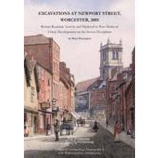 Excavations at Newport Street, Worcester, 2005