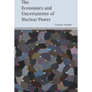 The Economics and Uncertainties of Nuclear Power