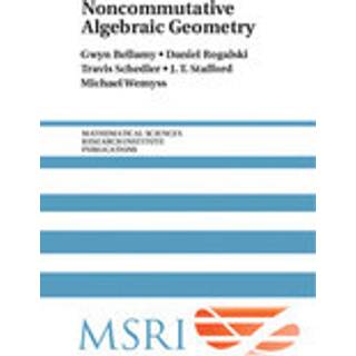 Noncommutative Algebraic Geometry