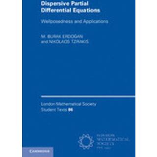 Dispersive Partial Differential Equations