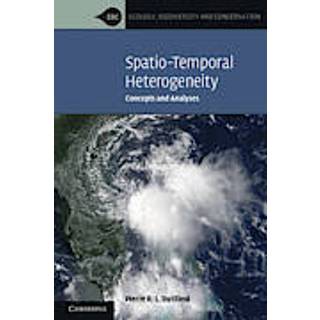 Spatio-Temporal Heterogeneity