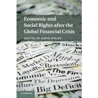 Economic and Social Rights after the Global Financial Crisis