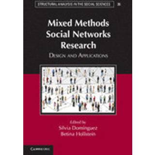 Mixed Methods Social Networks Research