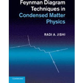 Feynman Diagram Techniques in Condensed Matter Physics