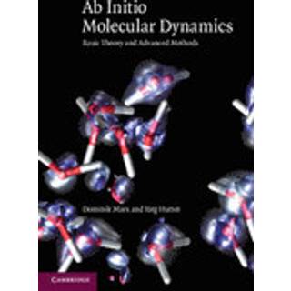 Ab Initio Molecular Dynamics