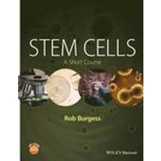 Stem Cells