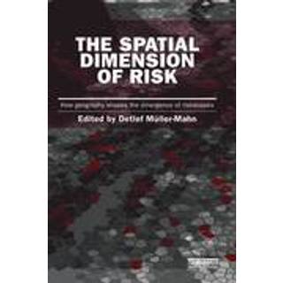 The Spatial Dimension of Risk