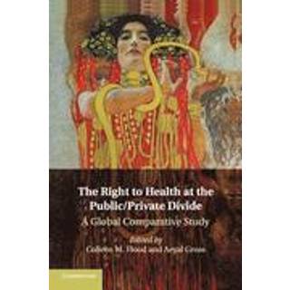 The Right to Health at the Public/Private Divide