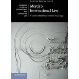 Mestizo International Law