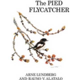 The Pied Flycatcher