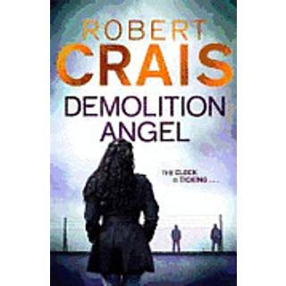 Demolition Angel