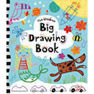 Big Drawing Book