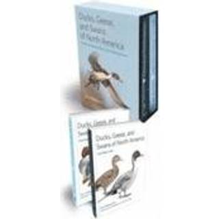 Ducks, Geese, and Swans of North America
