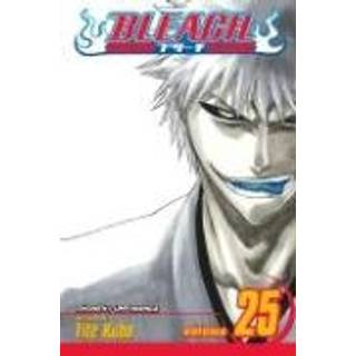 Bleach, Vol. 25