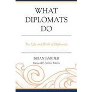 What Diplomats Do