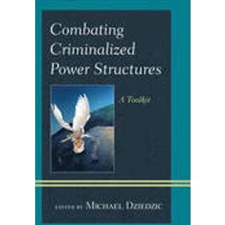 Combating Criminalized Power Structures