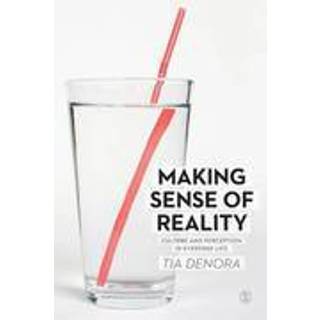 Making Sense of Reality
