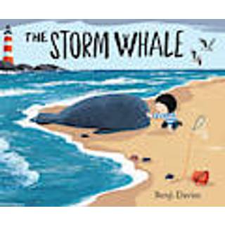 The Storm Whale