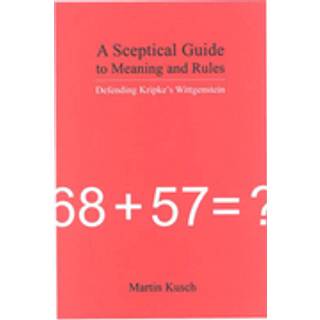 A Sceptical Guide to Meaning and Rules