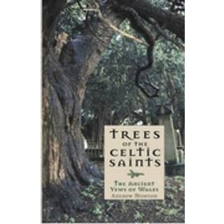 Trees of the Celtic Saints ? The Ancient Yews of Wales