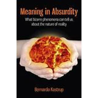 Meaning in Absurdity – What bizarre phenomena can tell us about the nature of reality