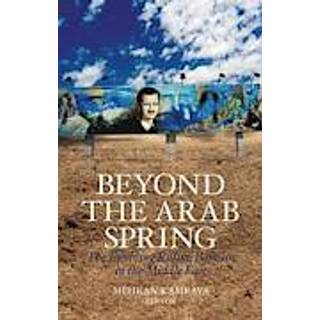 Beyond the Arab Spring