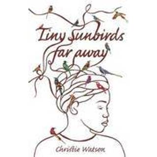 Tiny Sunbirds Far Away