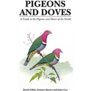 Pigeons and Doves