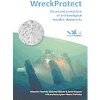 WreckProtect: Decay and protection of archaeological wooden shipwrecks