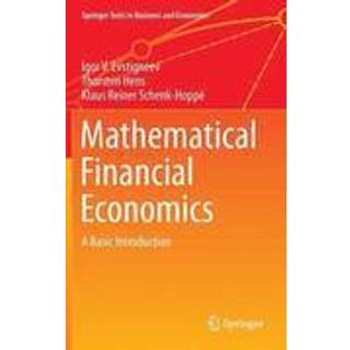 Mathematical Financial Economics