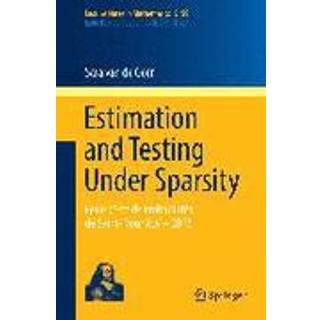 Estimation and Testing Under Sparsity