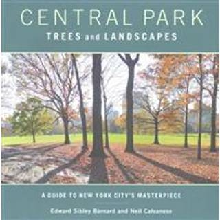 Central Park Trees and Landscapes