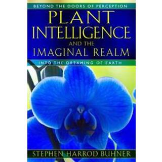 Plant Intelligence and the Imaginal Realm