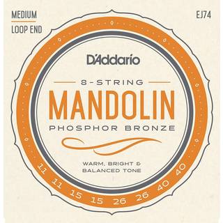 D'Addario Fretted EJ74 Mandolin Strenge